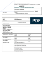 FORMATO DE REPORTE QUINCENAL-PMIB-MVCS