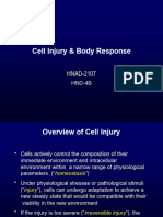 Lec # 3-Cell Injury-Body Responce