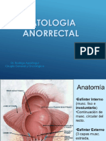 Clase 32  - Patologia Anorrectal