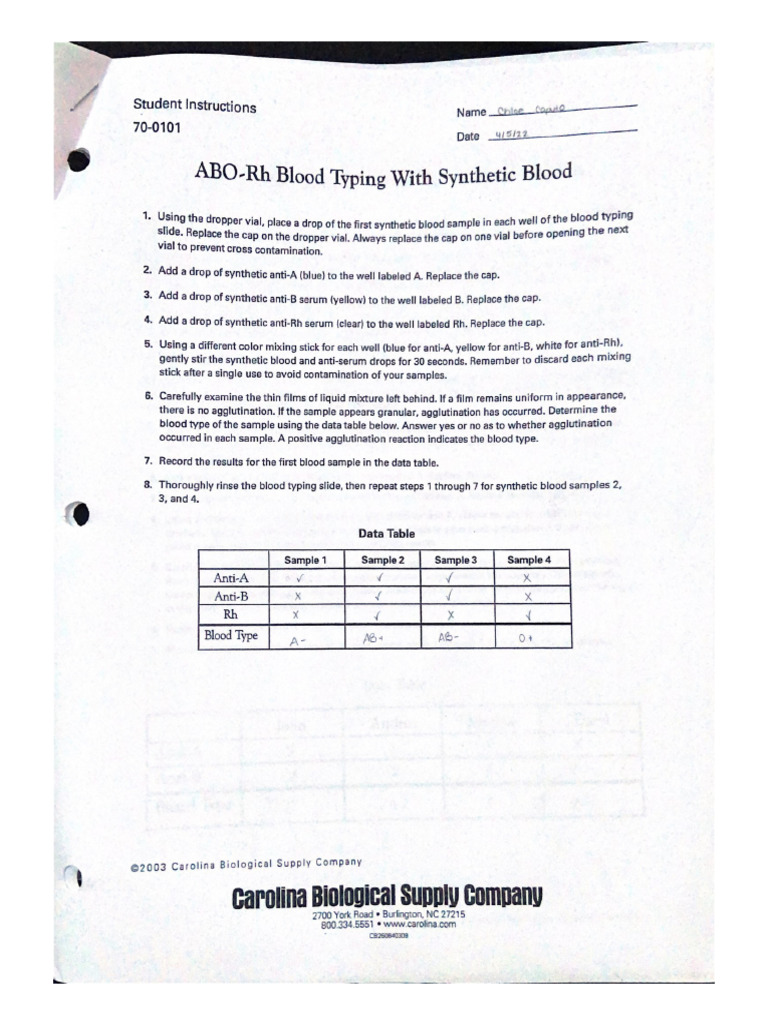 ABO-Rh Blood Typing With Synthetic Blood | PDF