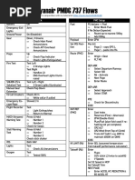 PMDG 737 Ryanair Flows Checklists V2