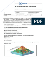 Prueba Semestral Ii Semestre Ciencias 3º Básico