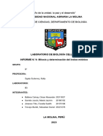 Informe 4 Biologia Celular-Mitosis en Indice Mitotico Grupo Mesa 2