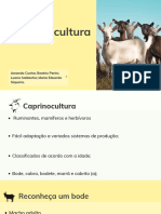 caprinocultura