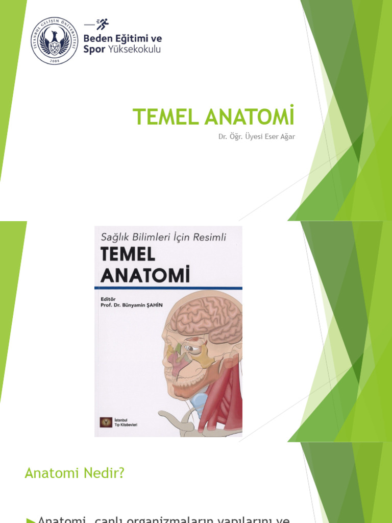 Temel Anatomi | PDF