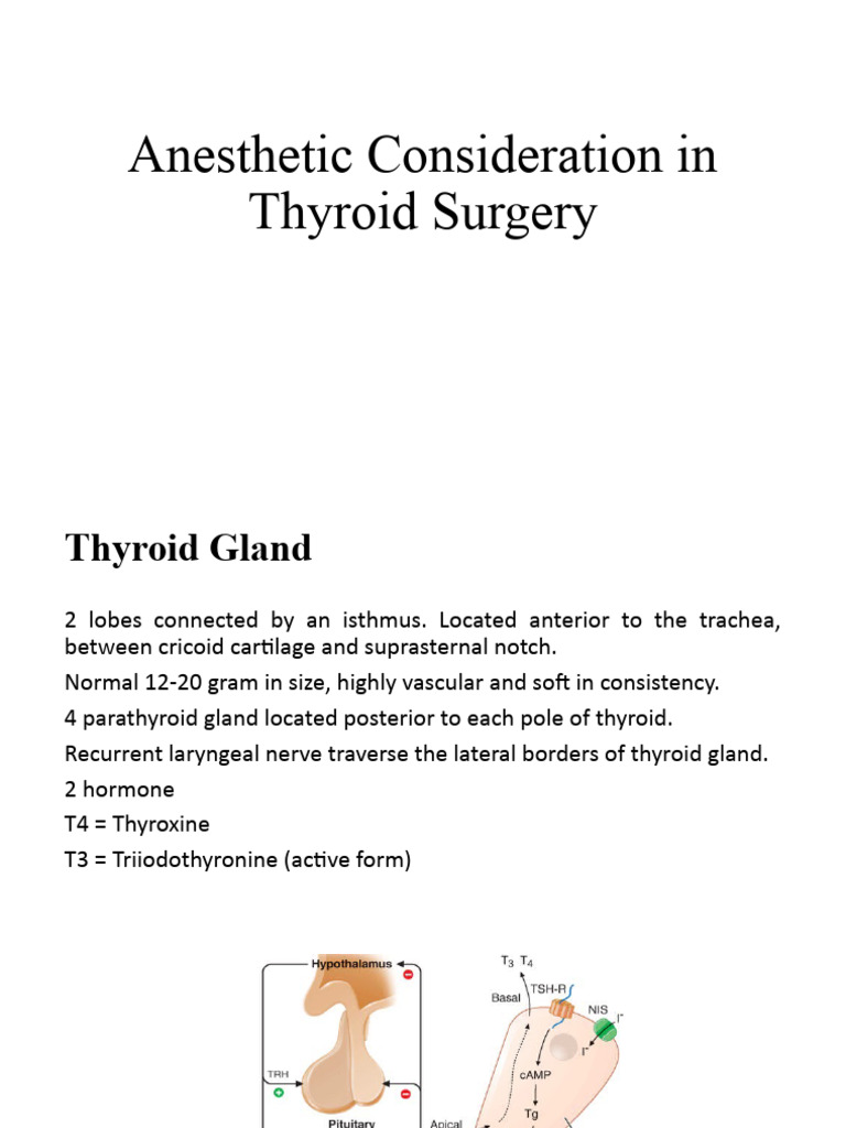 Anesthetic Considerations in Thyroid Surgery | PDF | Thyroid Disease ...