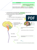 Vías Sensitivas