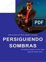 Carpeta Persiguiendo Sombras