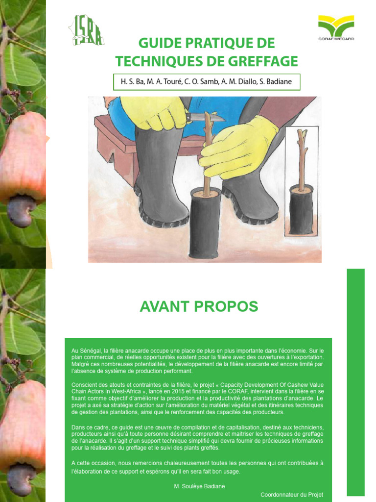 Guide Pratique du Greffage par Placage | PDF | Greffe (botanique ...