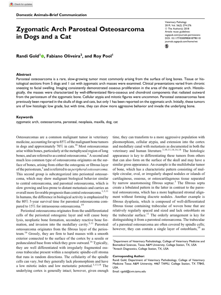 Zygomatic Arch Parosteal in Dogs and A Cat PDF Bone