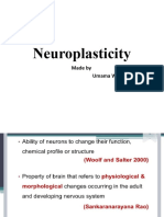 61.neuroplasticity WPS Office