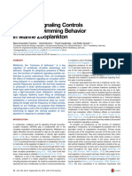 Melatonin Signaling Controls Circadian Swimming Behavior in Marine Zooplankton