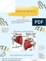 Rotator Cuff Muscle
