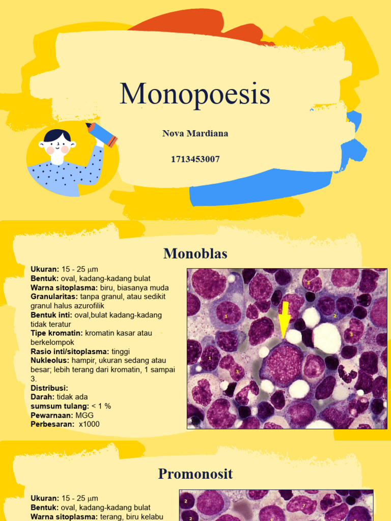 Karakteristik Monosit dan Promonosit | PDF