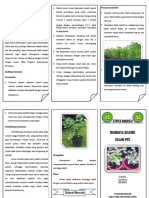 Pdf-Leaflet-Budijdaya-Seledri - Compress 3