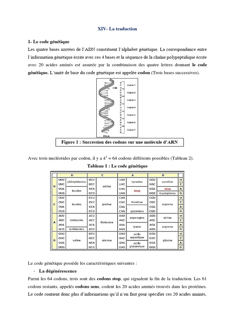Code Génétique | PDF