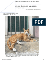 (팩트체크) 서울시 길고양이 중성화 사업 실효성 없다 - - 사회 - 인쇄하기 - THE FACT