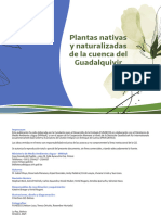 Plantas Nativas y Naturalizadas de La Cuenca Guadalquivir