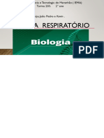 2°seminário de Biologia Sistema Respiratório