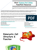 Eukaryotic Cell Structure Function Lecture PowerPoint VCBC