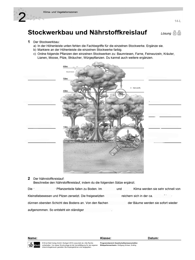 mirana kaktüs macunu almanya Mirana Defne Yapraklı Kaktüs Macunu 240 Gr – Yeşil Pazar main image 1