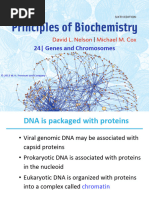 Genome Organization in Eukaryots