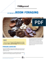 Mushroom Foraging Guide