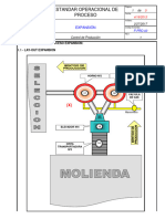 P-Pro-02 Estandar Operacional Proceso Expansión R01