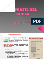 3 S.f.perfil Del Suelo