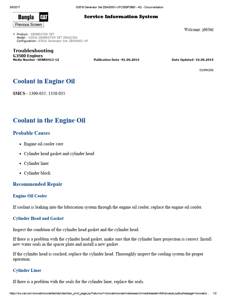 Coolant in Engine Oil PDF Cylinder (Engine) Motor Oil