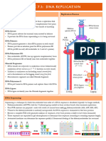 7.1 DNA Replication