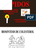 Lipidos - Quimica I - 8. Biosintesis de Colesterol