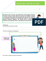 d3 A1 Ficha Ct. Sistema Muscular
