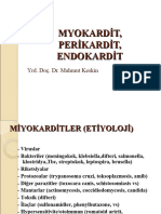 12 - Perikardit-Endokardit