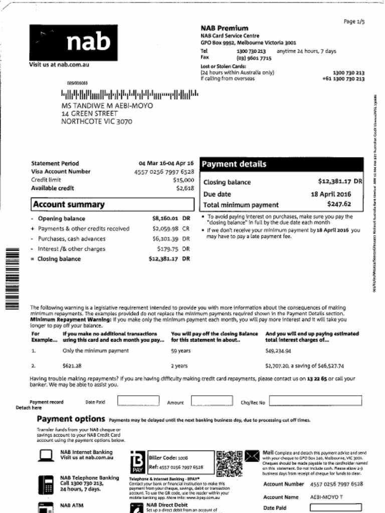 Nab Credit Card Statement Aebi Moyo PDF