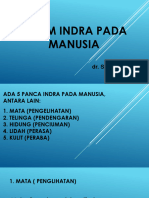 Sistem Indra Pada Manusia - Mata