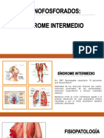 Organofosforados SD Intermedio y Cronico