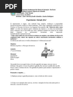 Experimento Garrafa Fixa