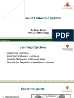 Overview of Endocrine System