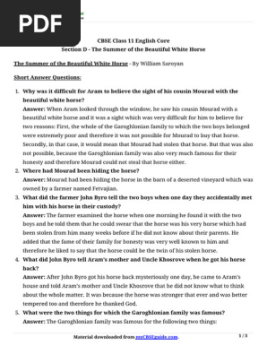 THE SUMMER OF THE BEAUTIFUL WHITE HORSE