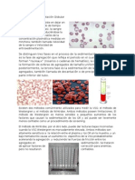 Velocidad de Sedimentación Globular