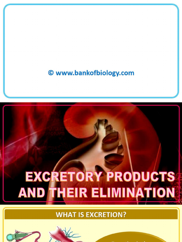 19 Excretory Products N Their Elimination Pdf