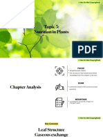 (BIO) Chapter 5 - Nutrition in Plants