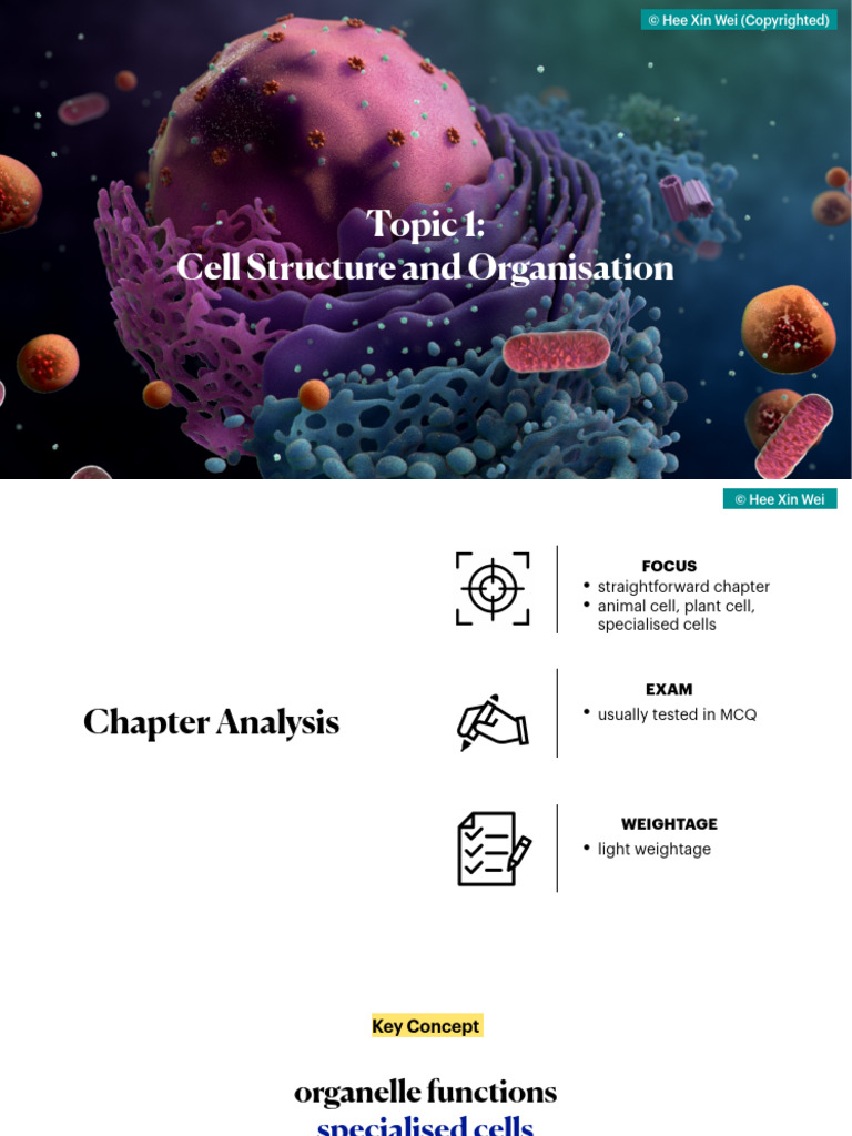 (BIO) Chapter 1 - Cell Structure and Organisation | PDF