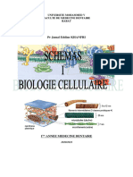 Biologie Cellulaire - PR KHANFRI Jamal Eddine - 16102020 - Schémas I PDF