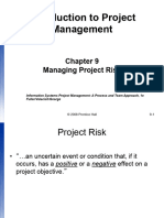 Managing Project Risk