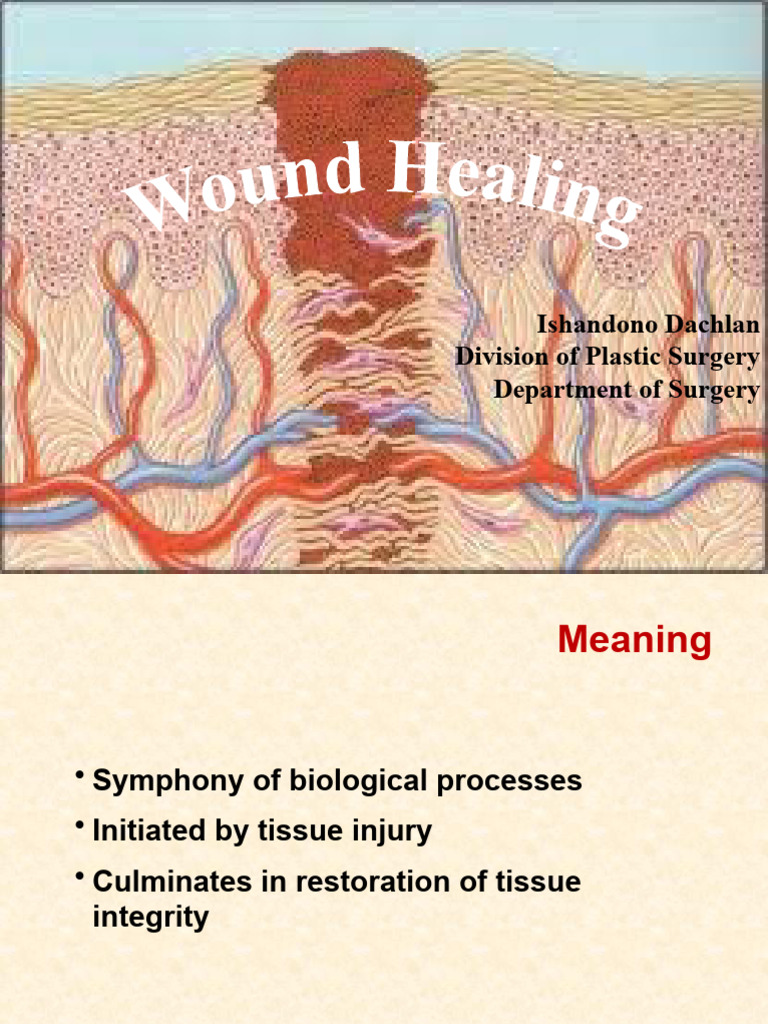 Wound Healing Pdf Wound Healing Regeneration Biology