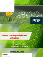 Phloem Loading - Saania Noor - 073405