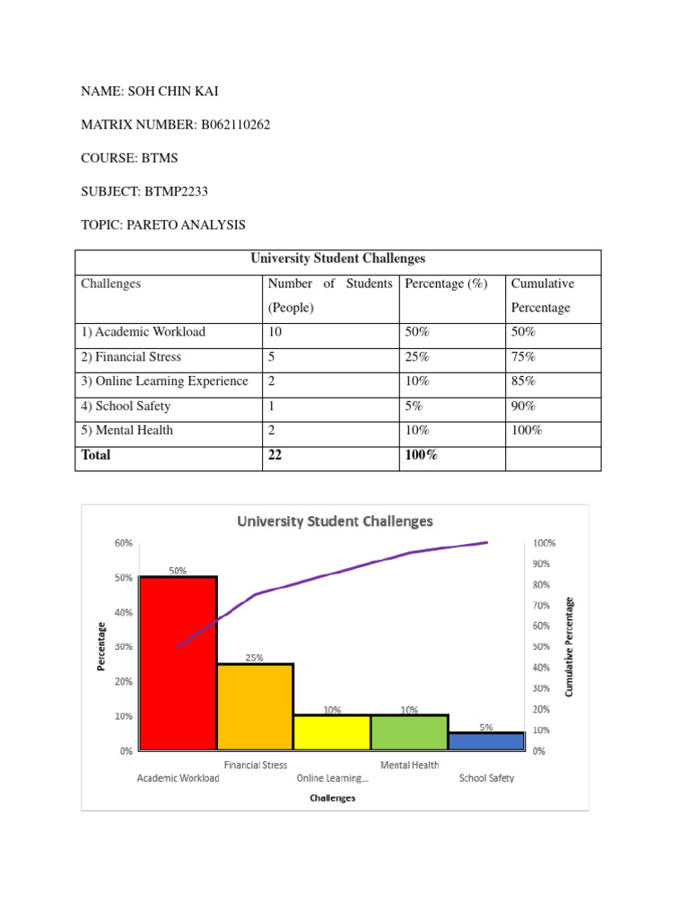 University Student Challenges | PDF | Career & Growth | Wellness