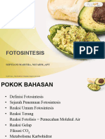 Botani Pertemuan 12